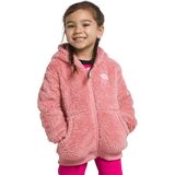 The North Face Suave Oso Full-Zip Hoodie - Toddlers' Shady Rose, 3