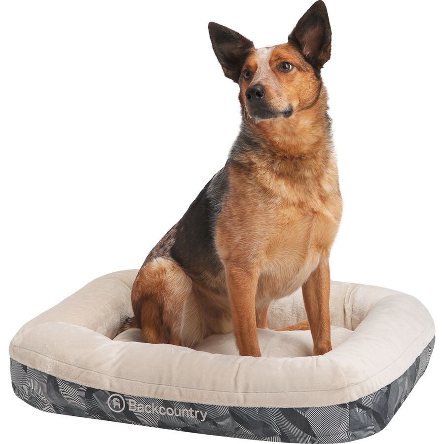 mountainsmith dog bed