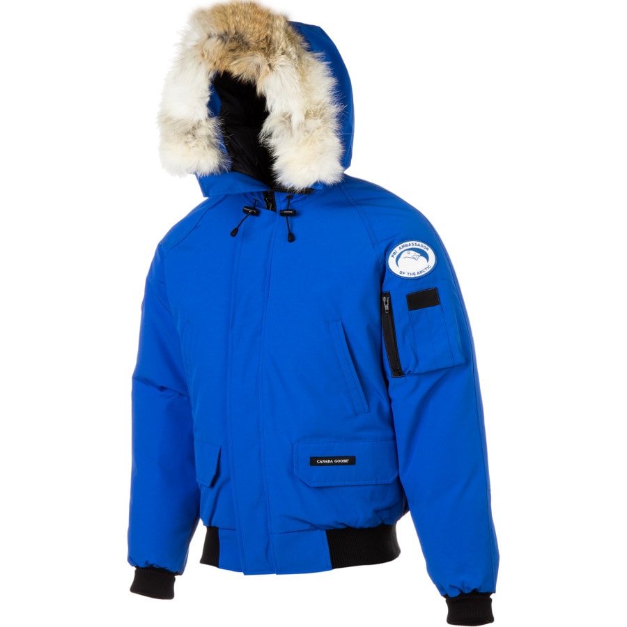 Canada Goose Polar Bears International Chilliwack Bomber Down Jacket ...