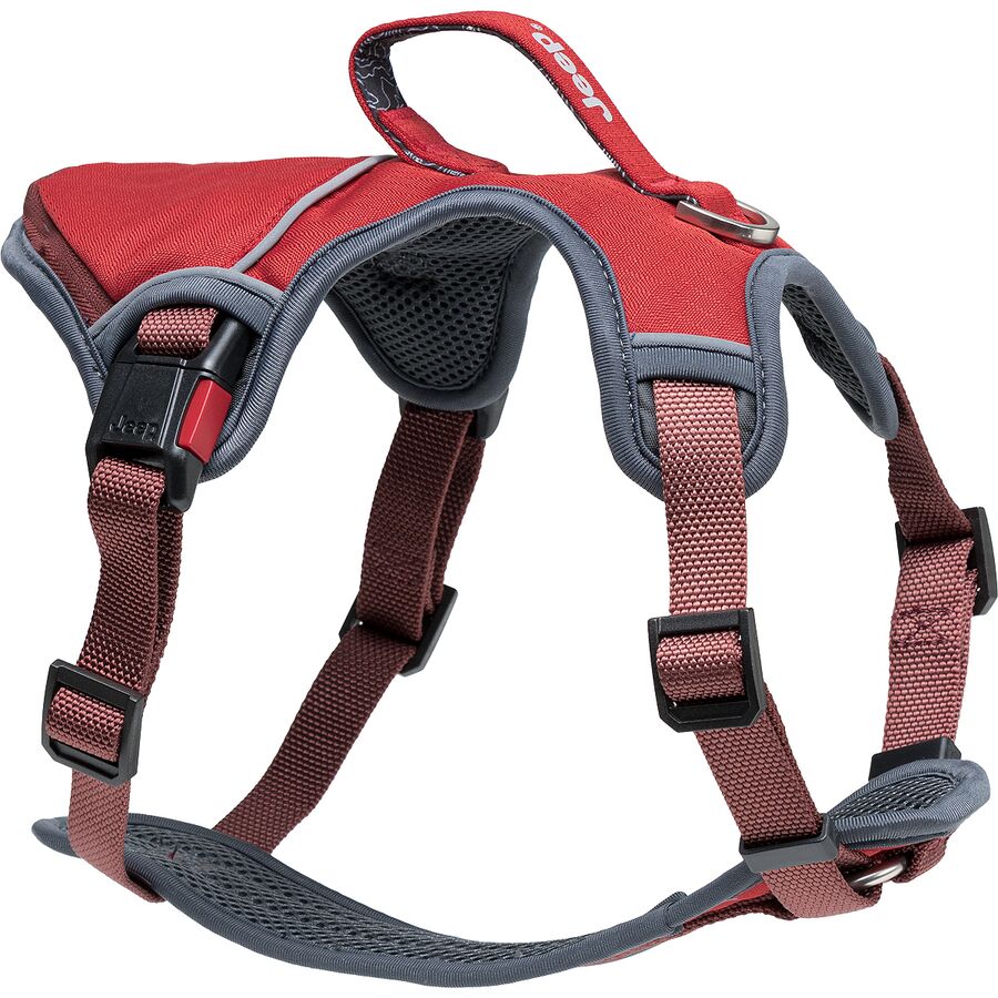 Jeep deals dog collars