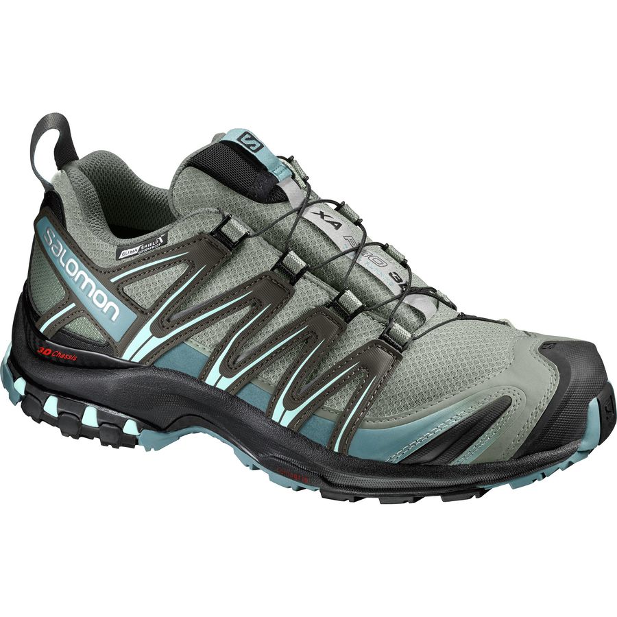 Salomon XA Pro 3D CS WP Trail Shoe Women's - Footwear