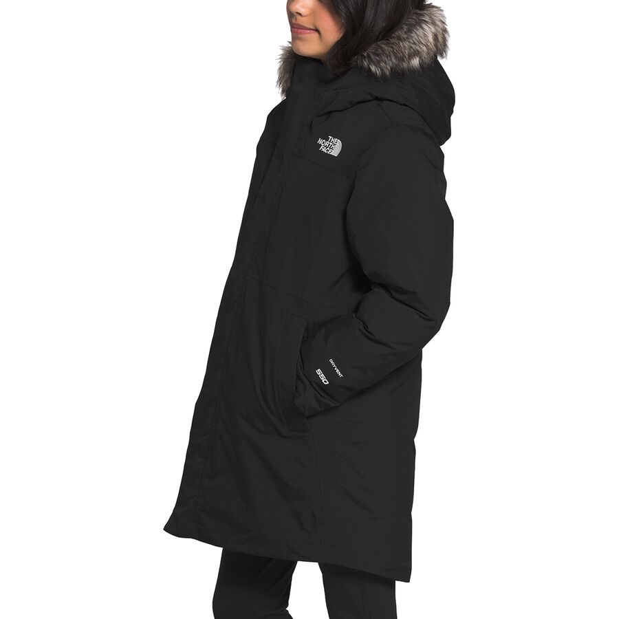 north face arctic swirl down parka