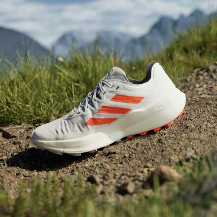 Adidas TERREX Terrex Agravic Speed Trail Running Shoe - Women's