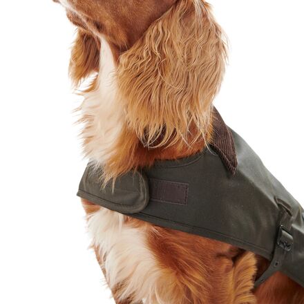 Barbour Wax Dog Coat - Hike & Camp