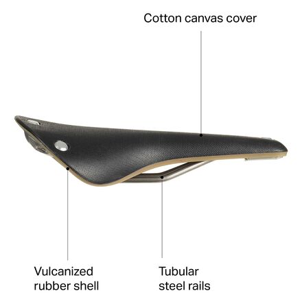 Cambium saddle 2025