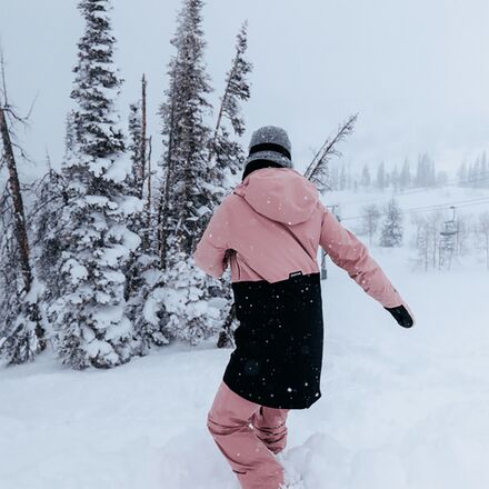 Burton Treeline GORE-TEX Jacket - Women's - Clothing