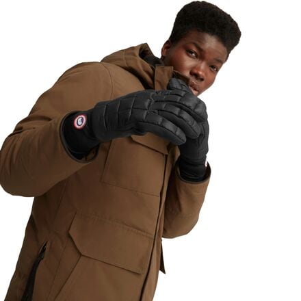 Northern glove liners online