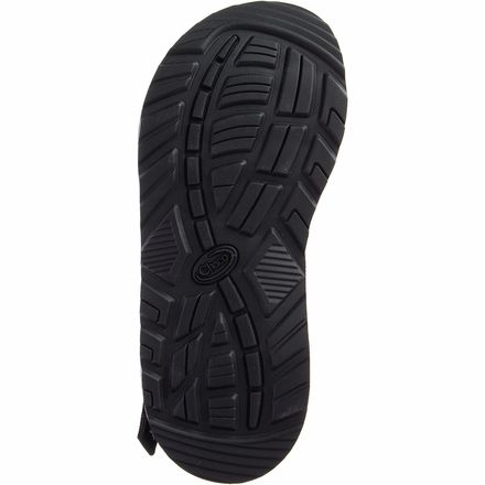 Chaco Pride Z/Cloud 2 Sandal - Men display picture 1