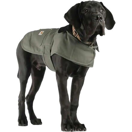 Carhartt Firm Duck Insulated Dog Chore Coat - Hike & Camp