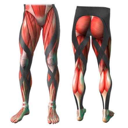 CW-X Insulator Pro Tights - Men's - Clothing