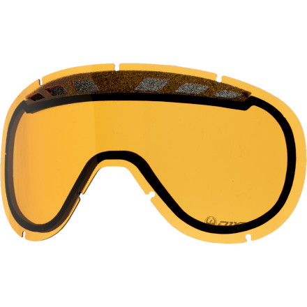 Dragon D1XT Goggle - Ski