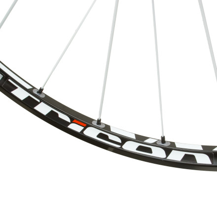 DT Swiss TRICON XM 1550 Wheelset - Bike
