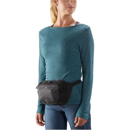 Eagle creek waist pack top