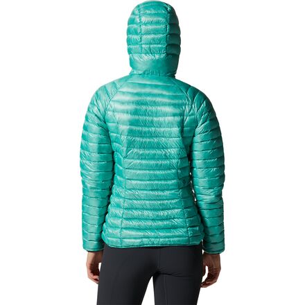 ghost whisperer blue spruce