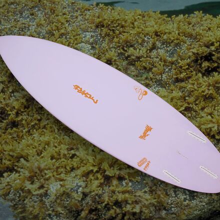 Misfit Fungzetti Art Series Surfboard - Futures - Surf
