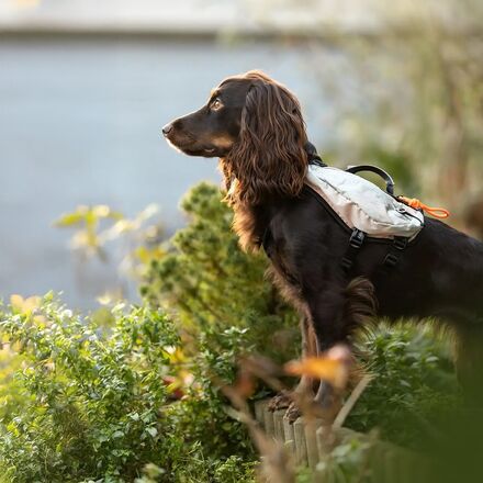 osprey hard luggage Colour:Bedazzle Pink but always remember to Black) - HITOP Lightweight lure with saying