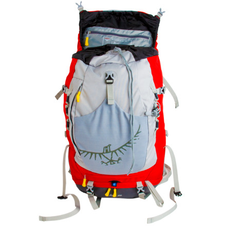 llbean equivalent of patagonia black hole Patagonia Black Hole Mini MLC 30L Pack
