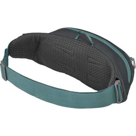 Daylite store waist osprey