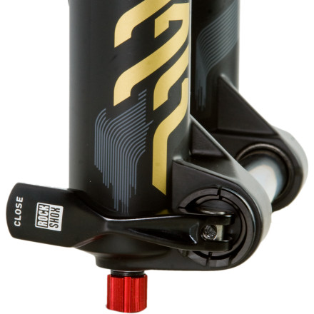 RockShox Domain 318 Fork - Bike