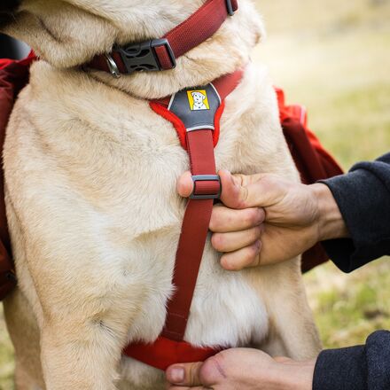 Ruffwear Palisades Dog Pack - Hike & Camp