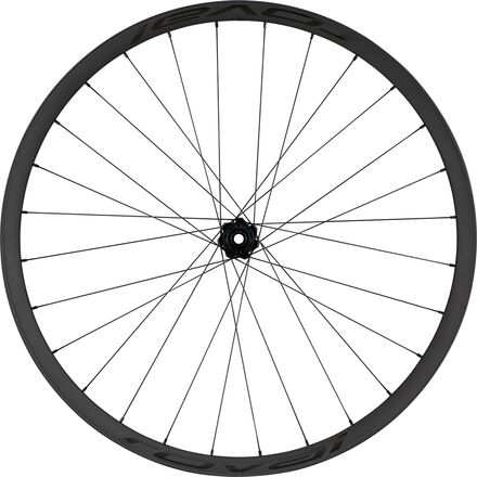 Roval Control SL VI DT350 29in Carbon Boost Wheel - Bike