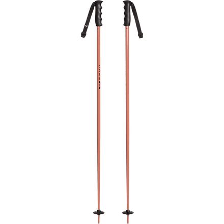 Roxy Dreamcatcher Ski Poles - Women's - Ski