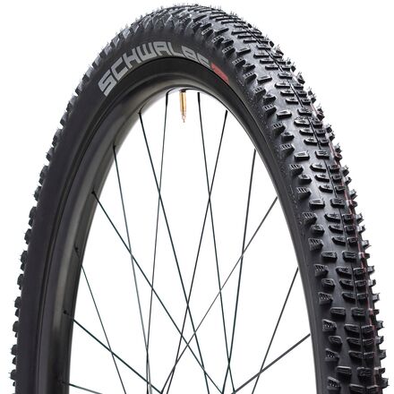 SCHWALBE EVOLUTION \"RACING RALPH\" 2本 Schwalbe Racing Ralph Addix Evolution 29in Tire - Bike
