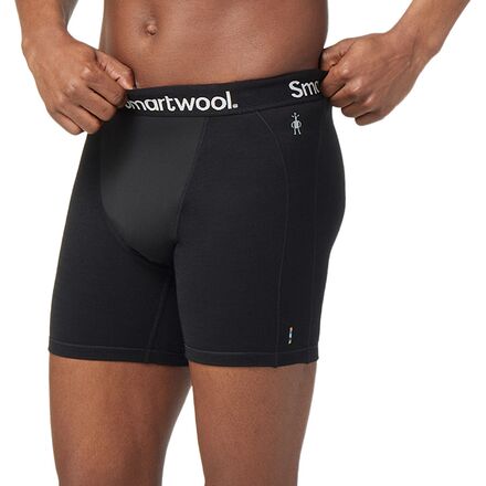 Smartwool Merino Sport Wind Boxer Brief - Men's - Clothing