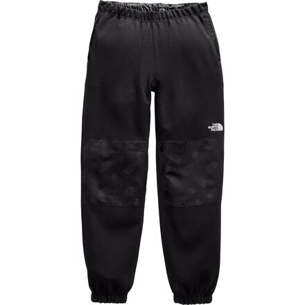 The North Face Graphic Collection Fleece Pant - Men's - Clothing