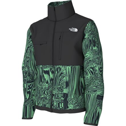 The North Face Denali 2 Fleece Jacket - Men's - Clothing