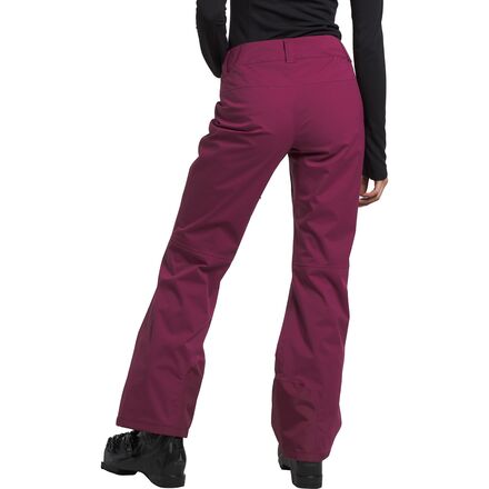 The North Face Freedom Stretch Pant - Women's - Clothing