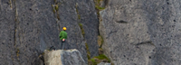 Multi Pitch Climbing
