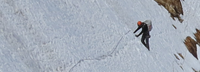 Alpine