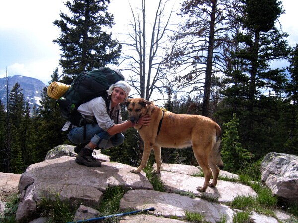 Camping With Dogs: The Transition From a Beloved Hound to a New Puppy ...